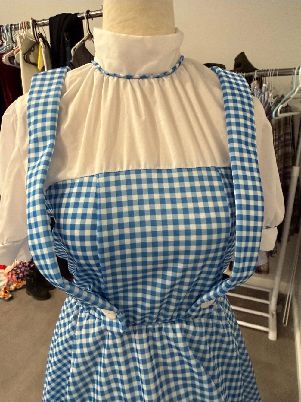 Rubies wizard oz
